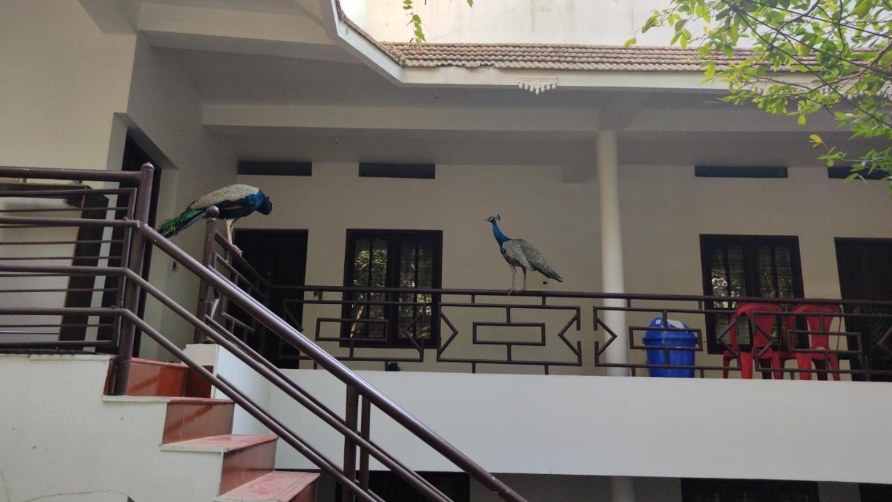 Pebblecoast Beach Resort Kovalam Exterior foto